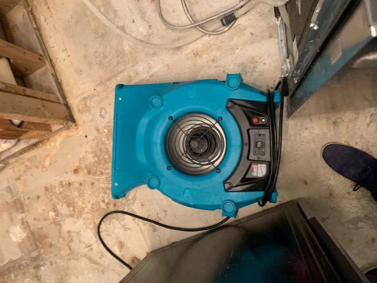 Air mover drying equipment for Mold Remediation & Removal in Buford